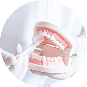 一般・予防的歯科処置